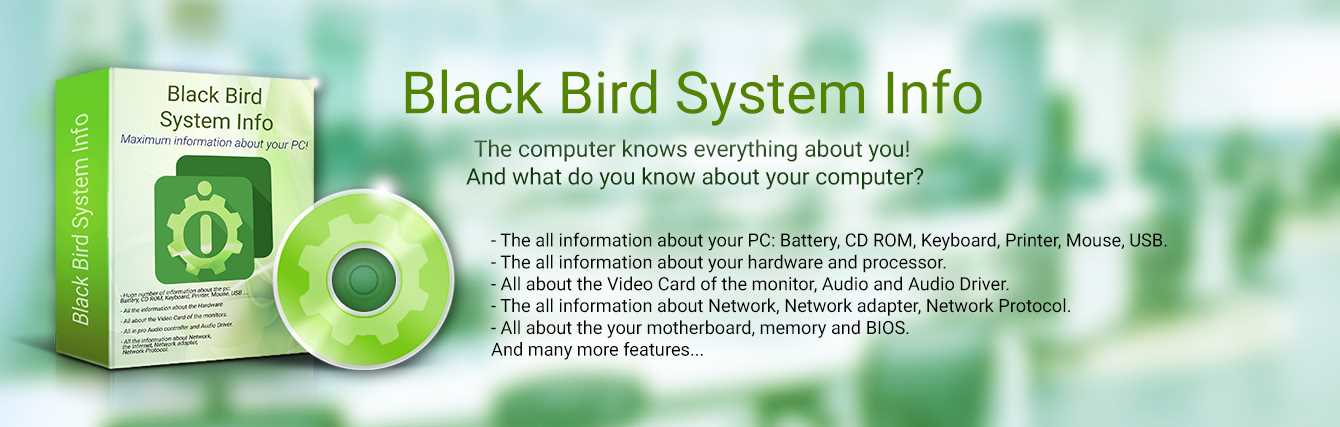 Get the Black Bird System Info and find out the maximum information about your PC